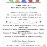Bnei Akiva Style Groups
